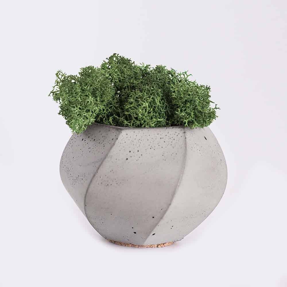 plant4-free-img Home
